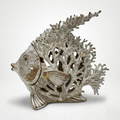 WHITE CORAL LOOK ANGELFISH